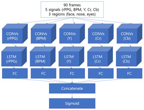 Face Biometric Spoof Detection Method Using a Remote ...