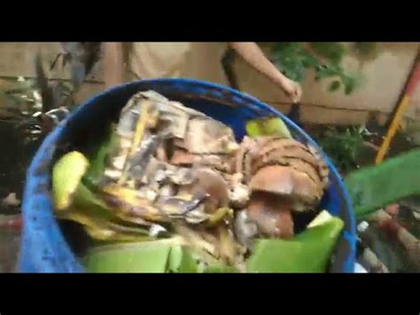 Compost Tumbler - Automatic Organic Waste Compost Tumbler Manufacturer ...