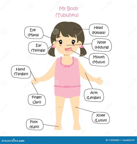 My Body Parts Bilingual, Girl Cartoon Vector Stock Vector - Illustration of human, concept ...