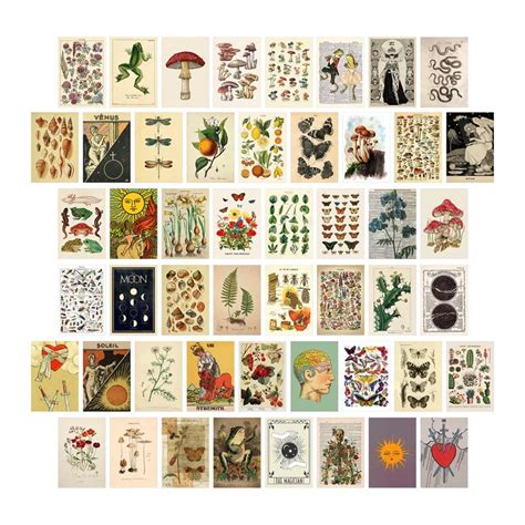 Buy Jojomino 50Pcs Vintage Botanical Tarot Aesthetic Wall Collage Kit ...