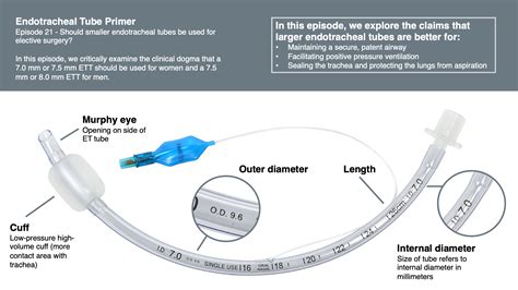 Different Types Of Endotracheal Tube at Jackson Ribush blog