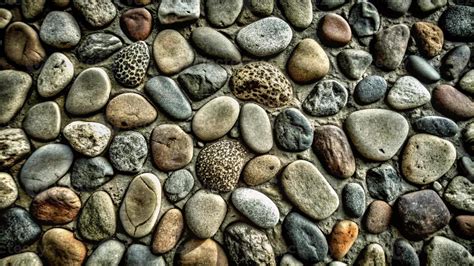 Image result for Stone