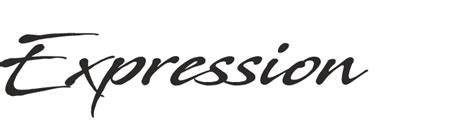 Meaning of Expression 的图像结果