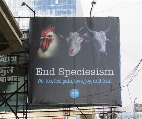 PETA इंडिया का नया बिलबोर्ड अभियान लोगों से अनुरोध करता है कि पशुओं के ...