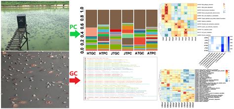A First Insight into the Structural and Functional Comparison of ...