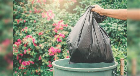 Lavish Indian wedding at Auli leaves behind 240 quintals of garbage ...
