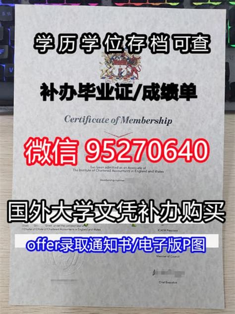 湘潭大学本科毕业证件翻译模板