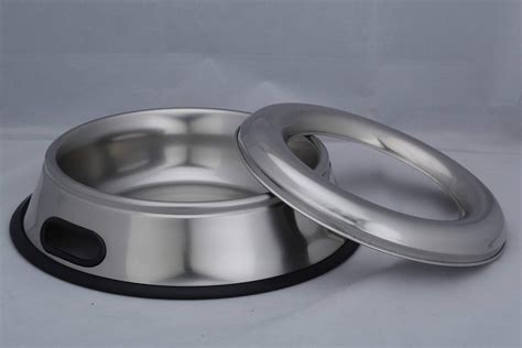 8 Best Dog Water Bowl for 2023 | CitizenSide