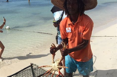 Negril Beach & Rick's Cafe Private Tour from Montego Bay 2022 - Viator