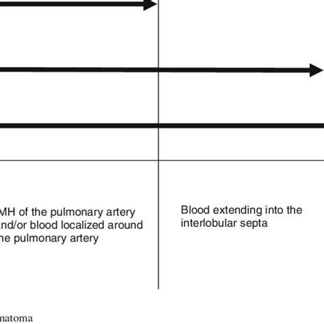 Image result for Murray Classification System