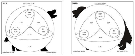 Comparison of the Clinical Characteristics of Histiocytic Sarcoma in ...