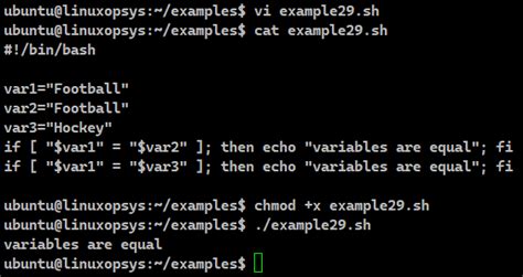 Bash Script Example 的图像结果