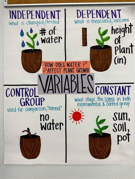Image result for Science Variables Anchor Chart