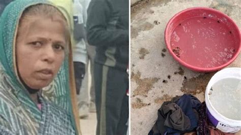 തേനീച്ചയാക്രമണത്തിന് കുഞ്ഞുങ്ങളെ വിട്ടുകൊടുത്തില്ല; നൂറുകണക്കിന് ...