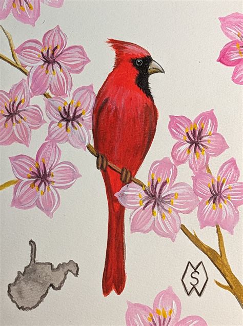 ArtStation - West Virginia state bird and flower, the cardinal and ...