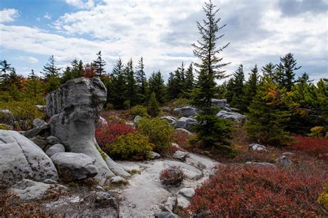 Dolly Sods Unexploded Ordnance at Christina Aguirre blog