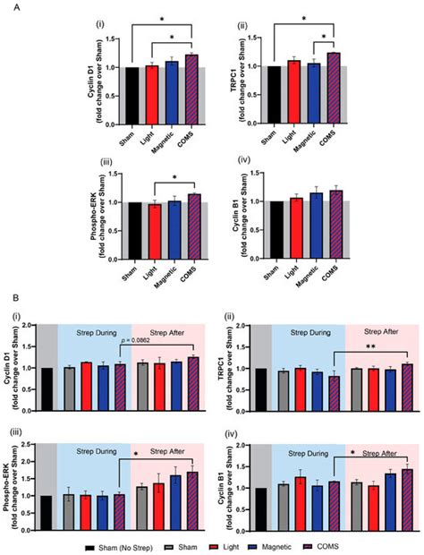 Synergistic Cellular Responses Conferred by Concurrent Optical and ...