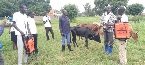 Rapa FM Pader - Communication for Development