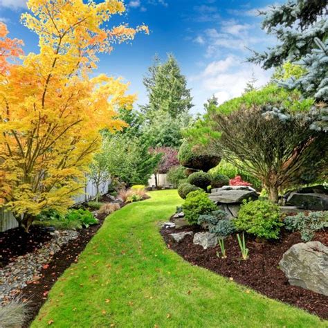 Image result for Tree Root Trimmer