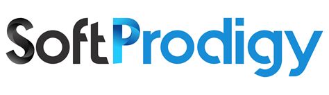 Top 17 IT Companies in Mohali (2025) - Brandveda