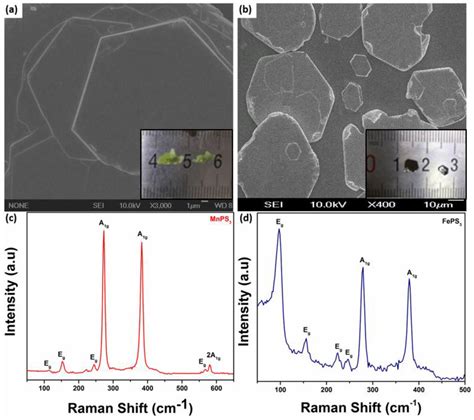 Magnetic Isotropy/Anisotropy in Layered Metal Phosphorous ...