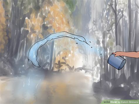 Image result for Catching Shiners with a Cast Net