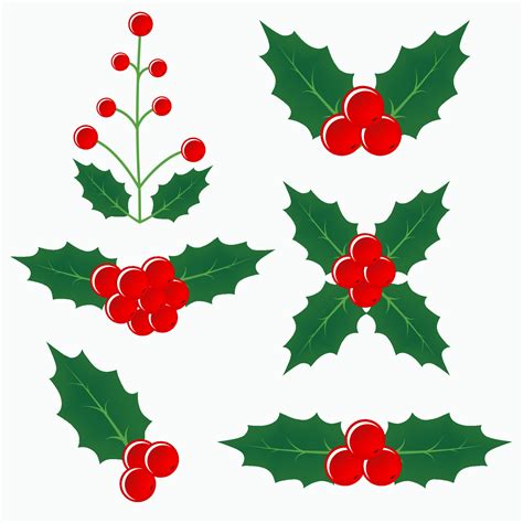 Christmas holly berry collection elements. Twigs of holly with berries ...