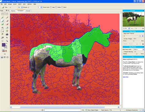 Image result for Vertus Fluid Mask Tutorial