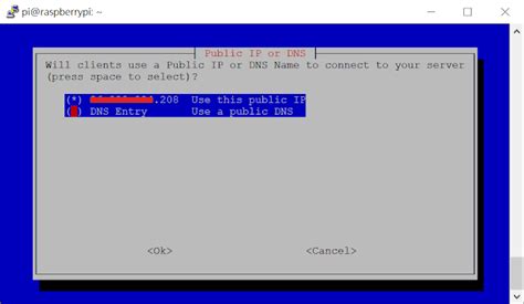 Raspberry Pi OpenVPN Client 的图像结果