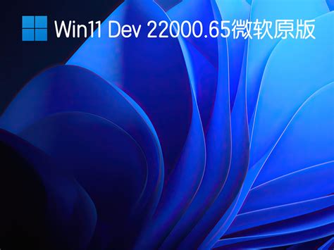 Win11 22000.65微软原版镜像下载_Win11 Dev 22000.65简体中文版下载V2021 - 系统之家