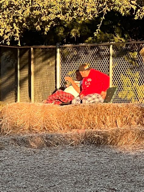 Pantera Dog Park - 738 Pantera Dr, Diamond Bar, CA 91765 - Hours ...