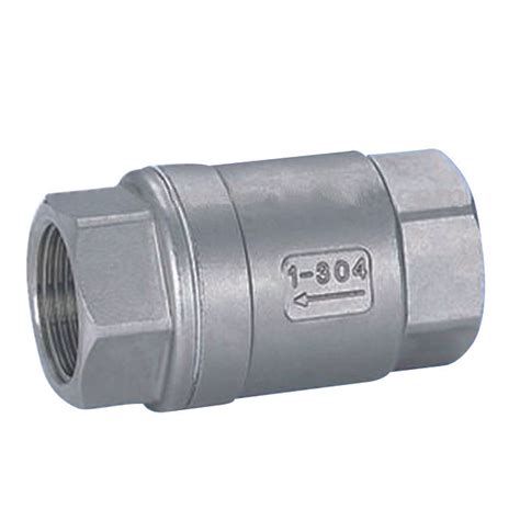 Image result for Stainless Spring Check Valve