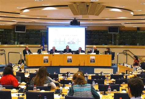 유럽의회 청문회, 중공 생체장기적출에 초점 모으다 – 파룬따파 밍후이왕
