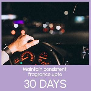 Aromahpure Hunny Bunny Luxury Car Perfume for Dashboard - Lavender ...