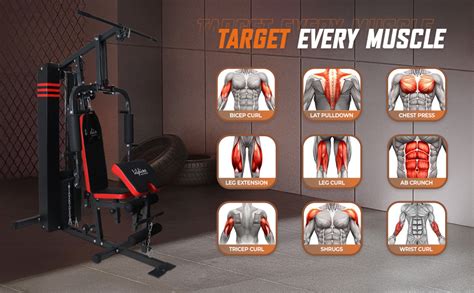 Lifeline HG-007 Multi Gym Machine for Home with Full Body Workout | AB ...