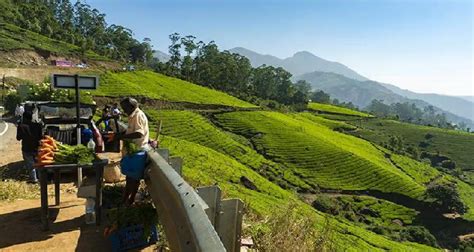 Munnar travel blog – Tourist places, best time to visit, hotels and more
