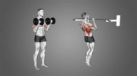 Chin-Ups vs Curls: Which is Best for Biceps? - Inspire US