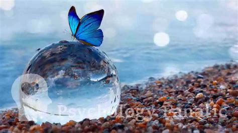 Image result for Reciprocal Determinism Examples