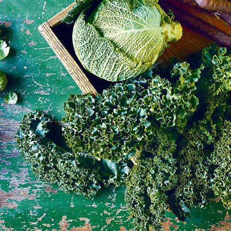 Kohl Rezepte 的图像结果