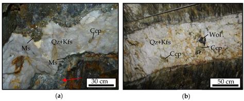 The Buenaventura Sector of the San Finx W–Sn Deposit (NW Spain): Ore ...