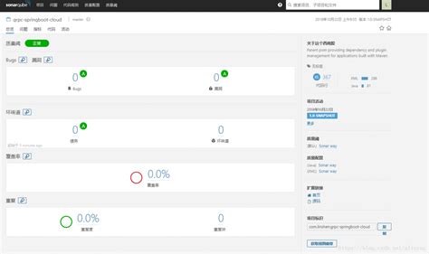 Java SonarQube Tutorial 的图像结果