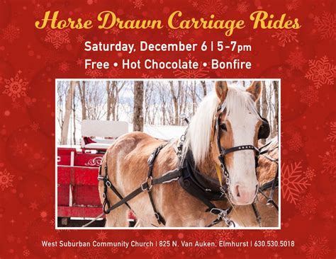 Horse Drawn Carriage Ridges , 825 Van Auken St, Elmhurst, IL, United ...