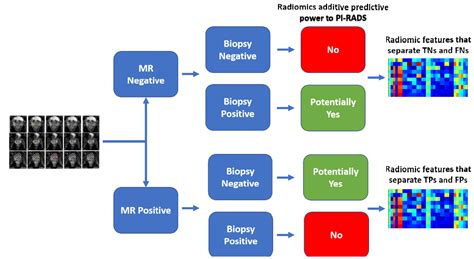 pi-rads 4 active surveillance