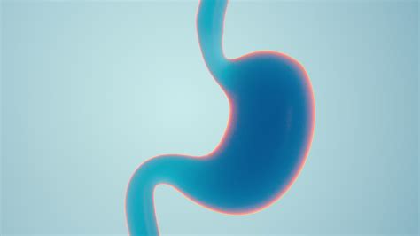 Cure of human Internal Stomach Anatomy, 3d rendering. | Premium Stock ...