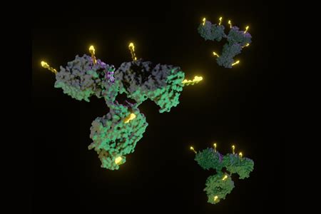 Image result for ADC Formulation Development
