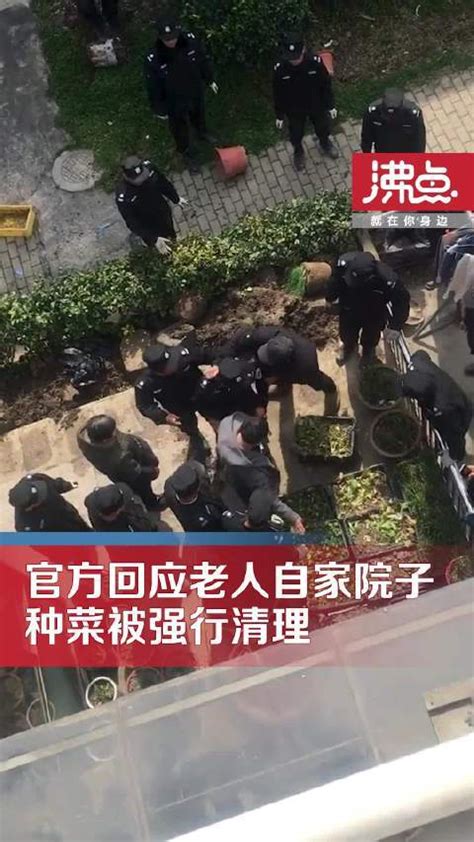 农村老人进城闲不住 小区外开荒种菜