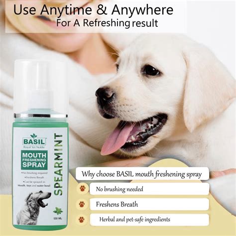 Buy Basil Spearmint Mouth Spray for Dogs Online | Supertails