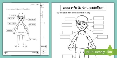 मानव शरीर के अंगों कार्यपत्रिका