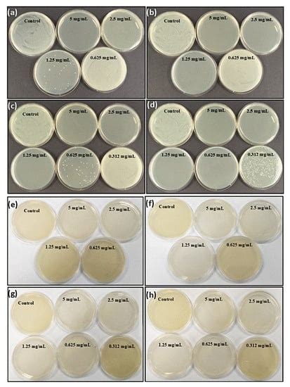 Polydopamine Nanosphere with In-Situ Loaded Gentamicin and Its ...