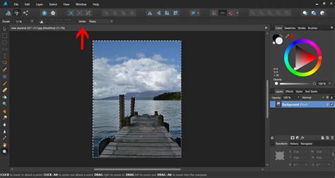 Affinity Designer Selections 的图像结果